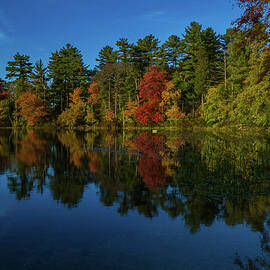 Fall At Ted Williams by Linda Howes