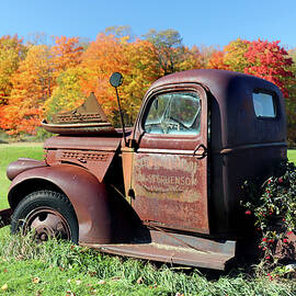 Fall Colors Include Rust by David T Wilkinson