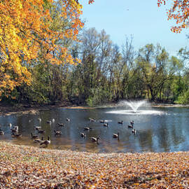 Fall Duck Pond Pano by Brian Wallace