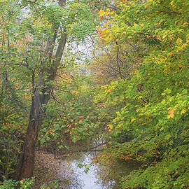 Fall Foliage Along an Indiana Creek by Bob Decker
