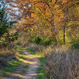 Fall Pathway at the Nature Center by Lynn Bauer
