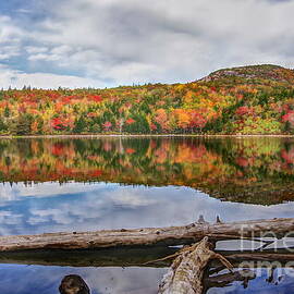 Fall Reflections at Acadia National Park by Scott Mason Photography