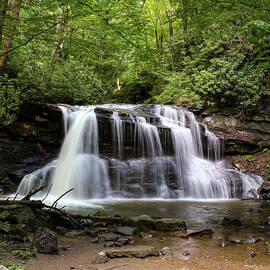 Fall Run Falls