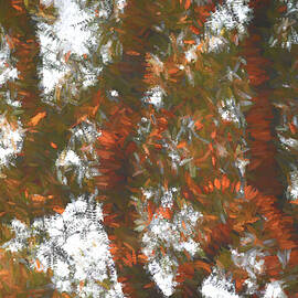 Fall Trees in Abstract by Roberta Byram