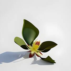 Fallen orchid by Kristen O'Sullivan