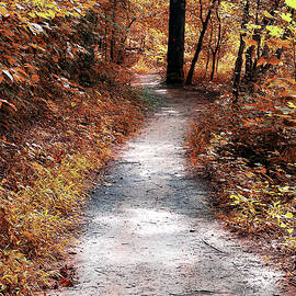 Fall On The Trail by Patricia Betts