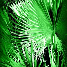FAN   PALM  -  Green by VIVA Anderson