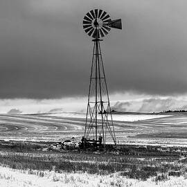Farm Windmill - Mondovi #6 bw by Jerry Abbott
