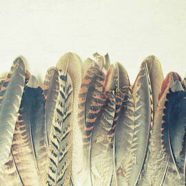 Feather Dip by Cassia Beck