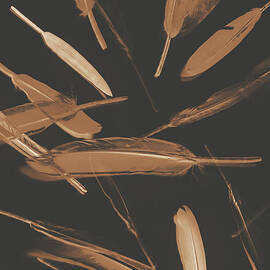 Feather Feature  by Jorgo Photography