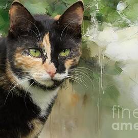 Feral Cat Portrait by Eva Lechner