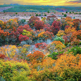 Fifty Shades of Autumn by Lynn Bauer