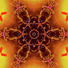 Fire Fractal Kaleidoscope by John Enright