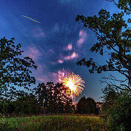 Fireworks Between The Oaks With Cameo By Mr. Firefly by Randy Scherkenbach