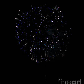 Fireworks, Purple Ball by PROMedias US
