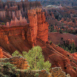 First Light at Bryce by Donna Kennedy