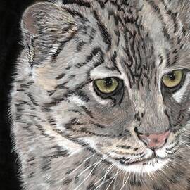FISHING CAT 1154 pastels by Dreamz -