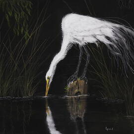 FISHING EGRET 1333 pastels by Dreamz -