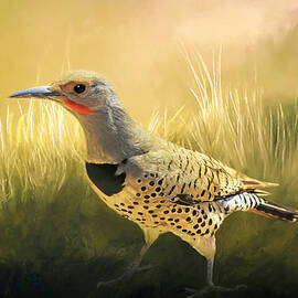Flicker in the Grass by Donna Kennedy