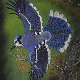 FLIGHT OF THE BLUE JAY 1018 pastels by Dreamz -