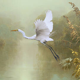 Flight of the Great White Heron  by Spadecaller