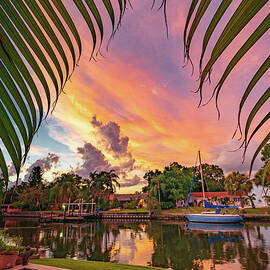 Florida Sunset by Frank Delargy