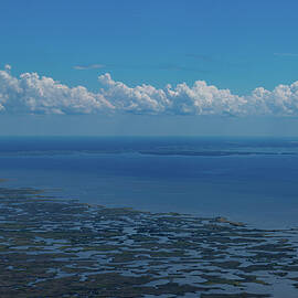 Florida's Gulf Coast by Donna Kaluzniak