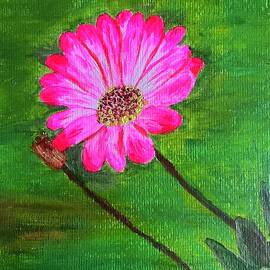 Flower acrylic painting  by Beryl Jasper