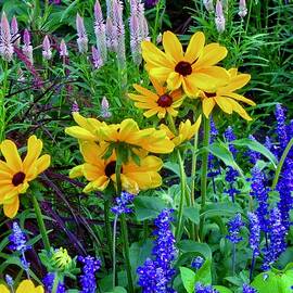 Flowers in the garden by Stephanie Moore