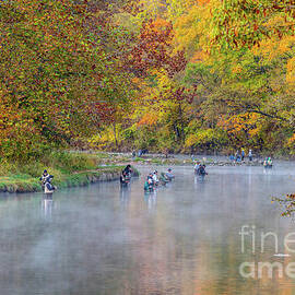 Fly Fishing Foggy Autumn Morning by Jennifer White