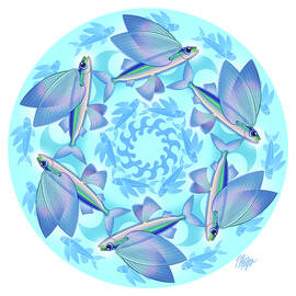 Flying Fish Wave Dance Mandala by Tim Phelps