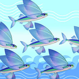 Flying Fish Wave Nature Panel by Tim Phelps