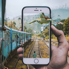 Flying Turtle by Swissgo4design