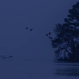 Foggy Blue Morning