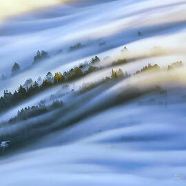 Fog Over Mount Tamalpais by Scott Eriksen