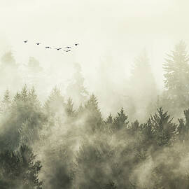 Foggy Flight by Sylvia Hosie