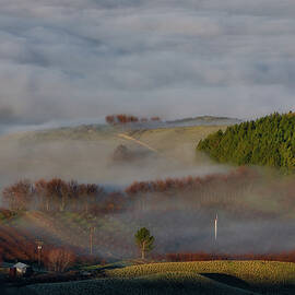 Foggy Morning in Prosser 2  by Lynn Hopwood