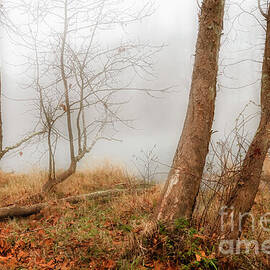 Foggy Morning on South Fork by Shelia Hunt