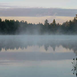 Foggy Morning on the Lake by Linda MacFarland