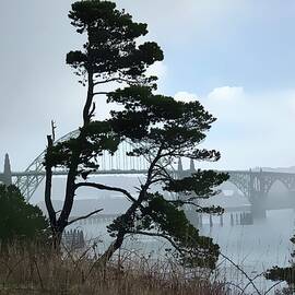 Foggy Yaquina Bay Bridge - Oregon by Tatiana Travelways