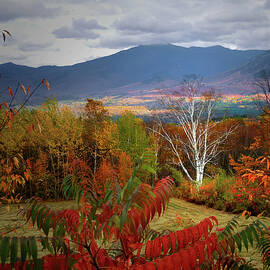Foliage Galor from Sugar Hill New Hampshire by Nancy Griswold