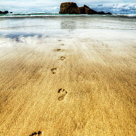 Footsteps In The Sand by Paul Thompson