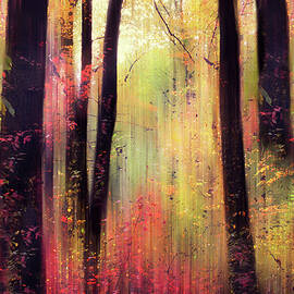 Forest Frolic by Jessica Jenney