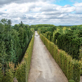 Forest Hallway in Versailles Gardens, France by John Twynam