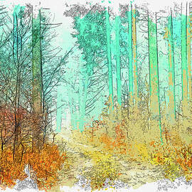 Forest Pathways Photo in watercolor ca by Ahmet Asar  by Celestial Images