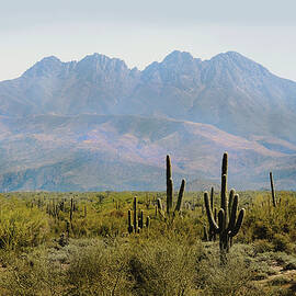 Four Peaks  by Gordon Beck