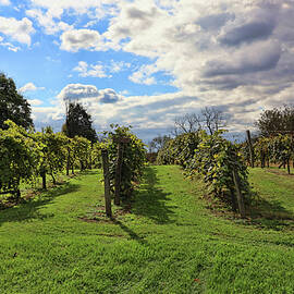 Four Sisters Winery - Hope, N. J. by Allen Beatty