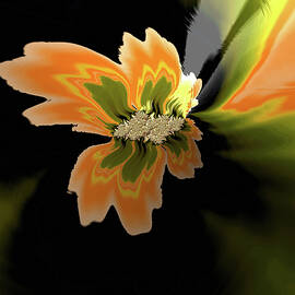 Fractal Flower-Orange Water Lily  by Shelli Fitzpatrick