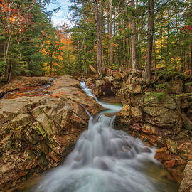 Franconia Notch State Park New Hampshire White Mountains by Juergen Roth