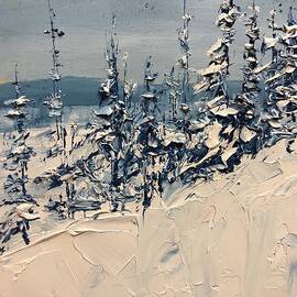 Fresh Snow on Blue Spruce by Desmond Raymond